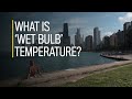 What is 'wet bulb' temperature?