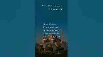 surah Al furqaan by sheikh hassan al-wajidi  شيخ حسن الواجد سورة الفرقان