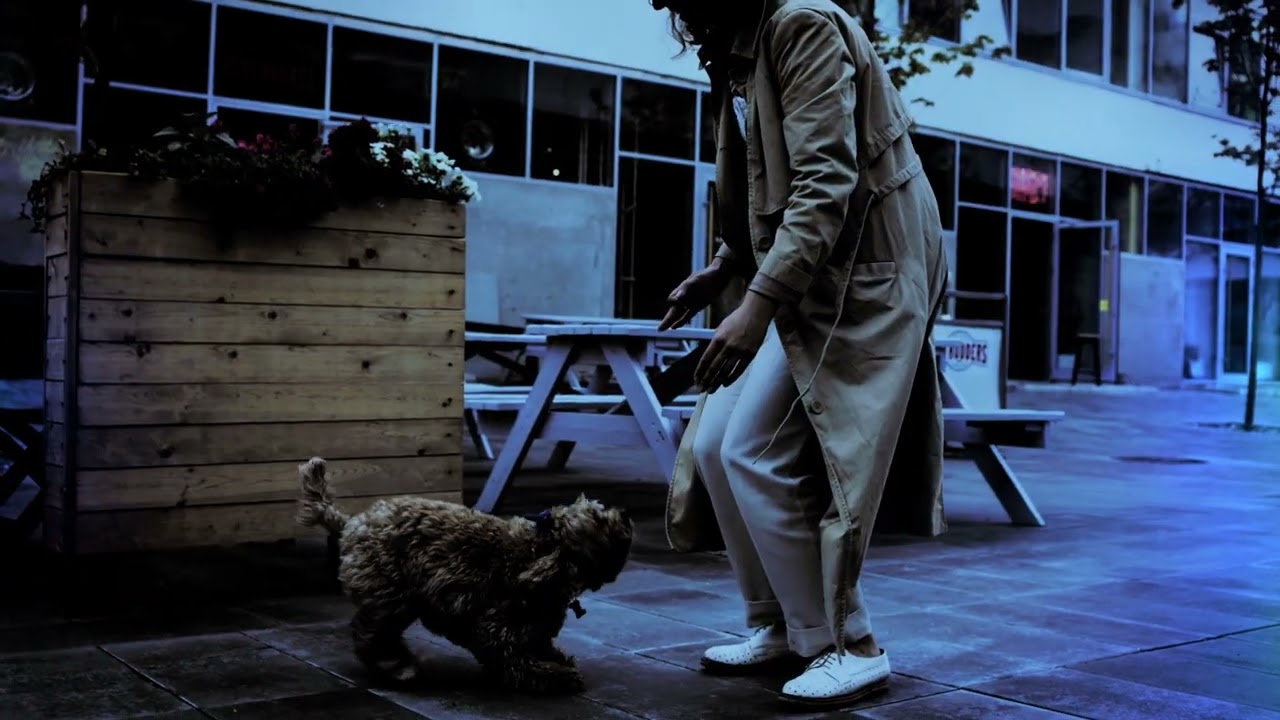 Boris fx SapphireS_Day&Night, S_flicker, S_UltraGlow. Let's go rescue that dog at night.