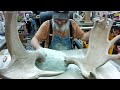 Moose Antler Series Part 7 The End