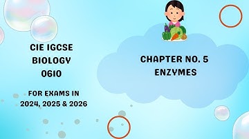 Chapter 5. Enzymes  IGCSE Paper Biology 0610