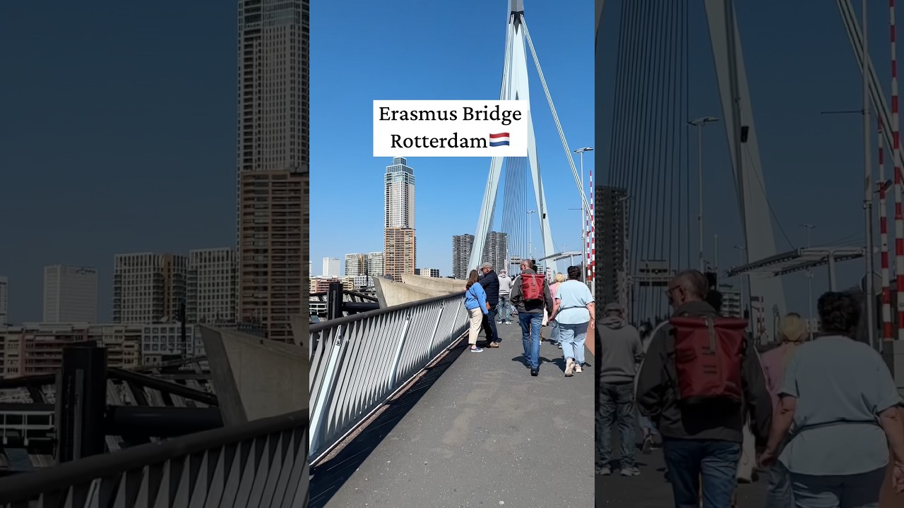 Lewat di jembatan paling terkenal di rotterdam belanda #travel #cruise
