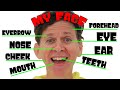 My Face Song with Matt | Body Parts | Dream English Kids