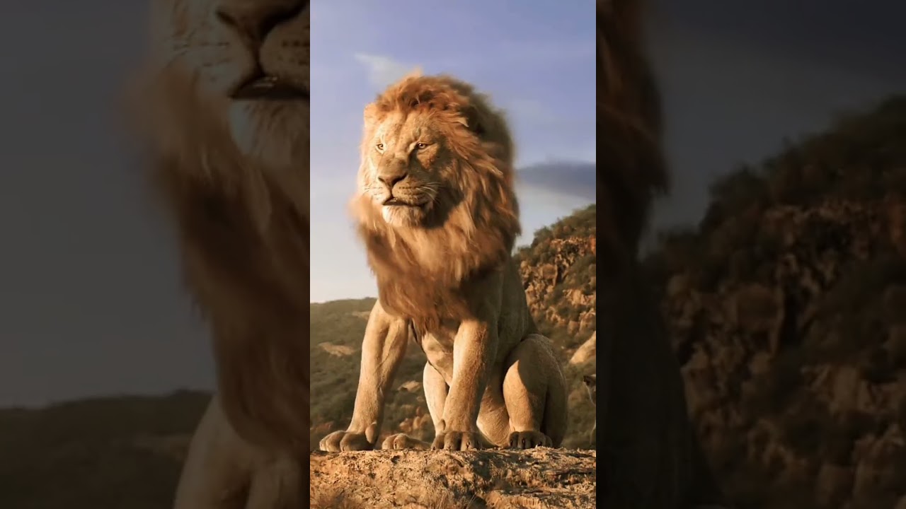 pittbull vs lion ❓ 