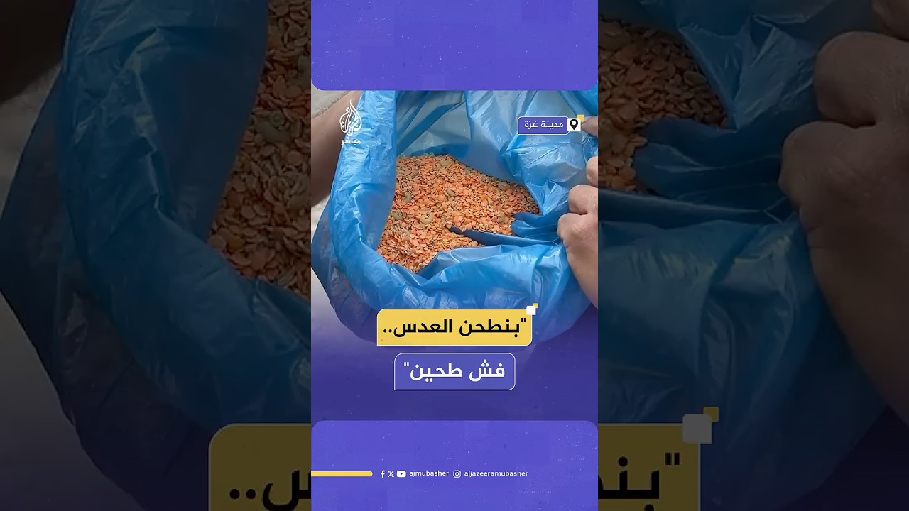 بواقي الطعام.. حيلة أب فلسـ ـطيني لسد جوع أطفاله في ظل انتشار المجاعة بقطاع غـ ـزة