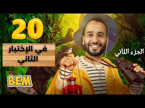 اقوى مراجعة للفرض و الاختبار بيام الفصل الثاني انجليزية رقم 2 الرابعة متوسط 