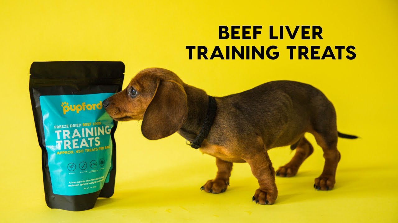 Beef Liver Dog Training Treats YouTube