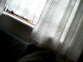 P4080071 P4080071