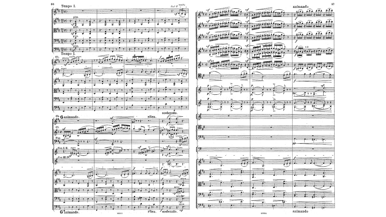 Thaikovksy, Sympohony No. 5 (5th) - II. - Andante cantabile, con alcuna licenza. Orchestral Score