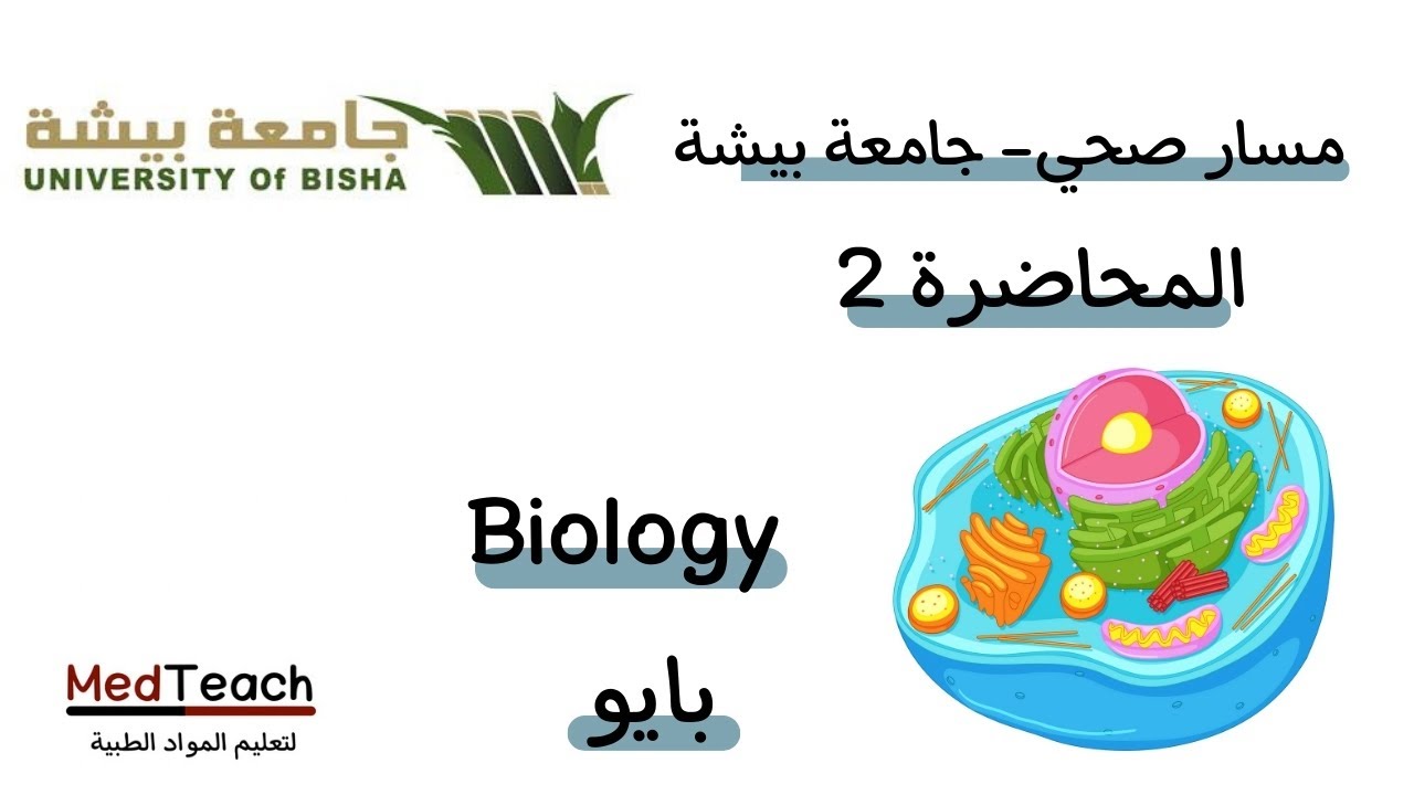 محاضرة 2 - (Cell size and organelles)