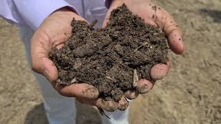 Composting and Mulching in Mango STS