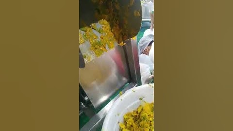 mango pulper machine Seed Destoner