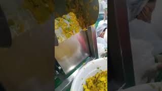 mango pulper machine Seed Destoner