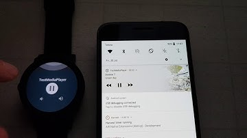 MediaPlayer ANE Background Audio