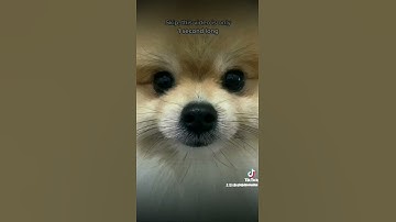 this video is not a loop #fyp #shorts #loop