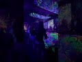 psyprog party design