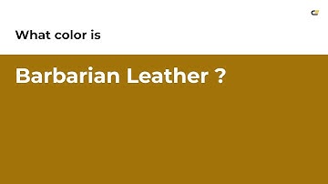 Barbarian Leather color #a17308 hex color - Yellow color - Cool color a17308