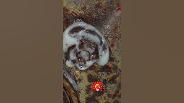 Tricks for removing stubborn or broken bolts - tricks & Hacks