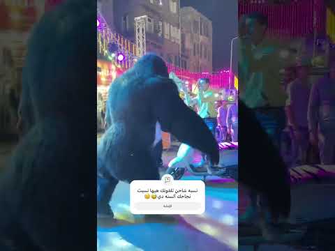 يلا يطلع علي الاكسبلورر اخواتشي  اكسبلور ترند الغوريلا ضحك  رقص افراح