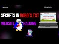 Find hidden secrets of any website (robots.txt) | Picoctf - Robots Sans | kidnapshadow