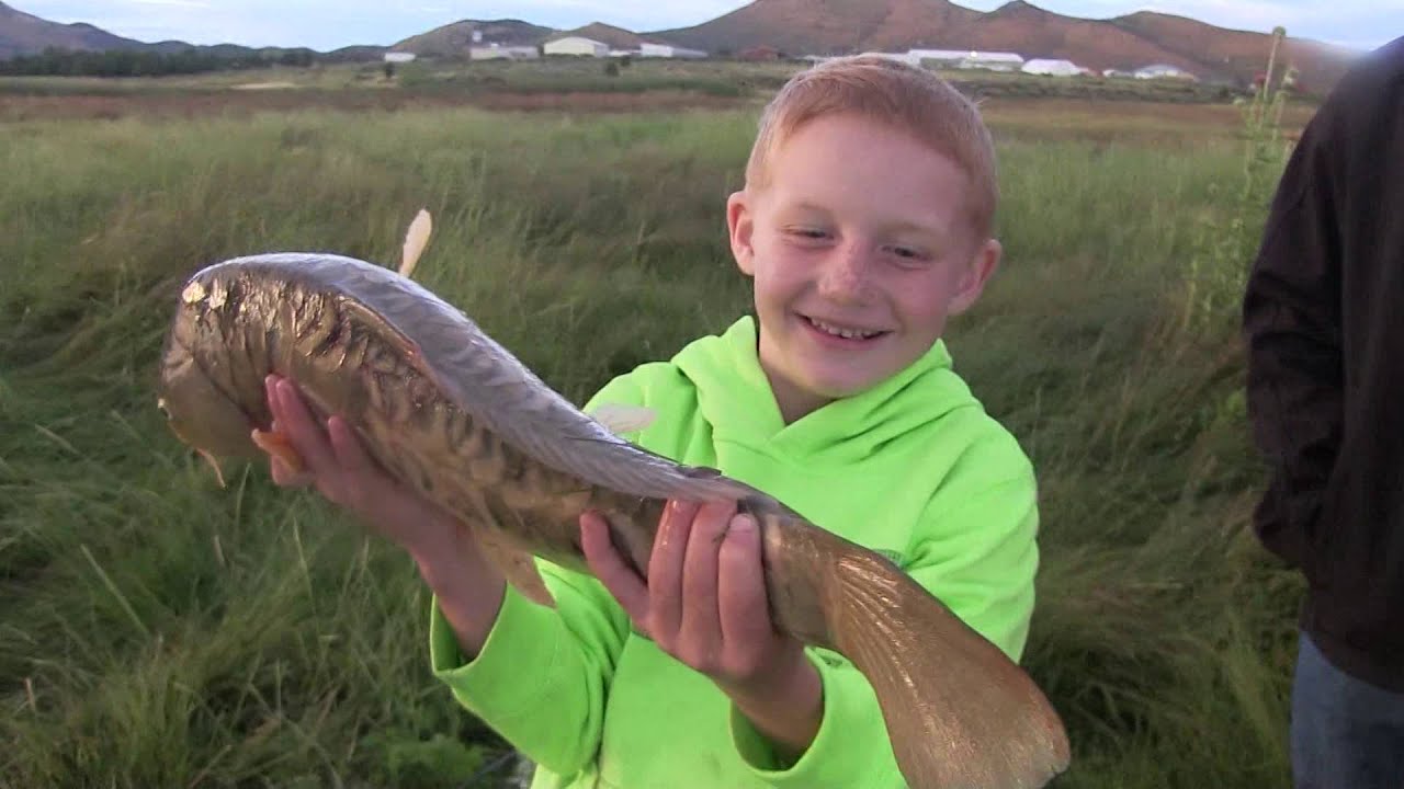 Catfishing with the kids YouTube