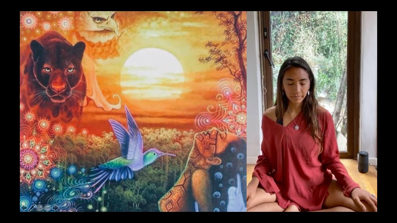 Chamanismo | Conoce tu animal de poder