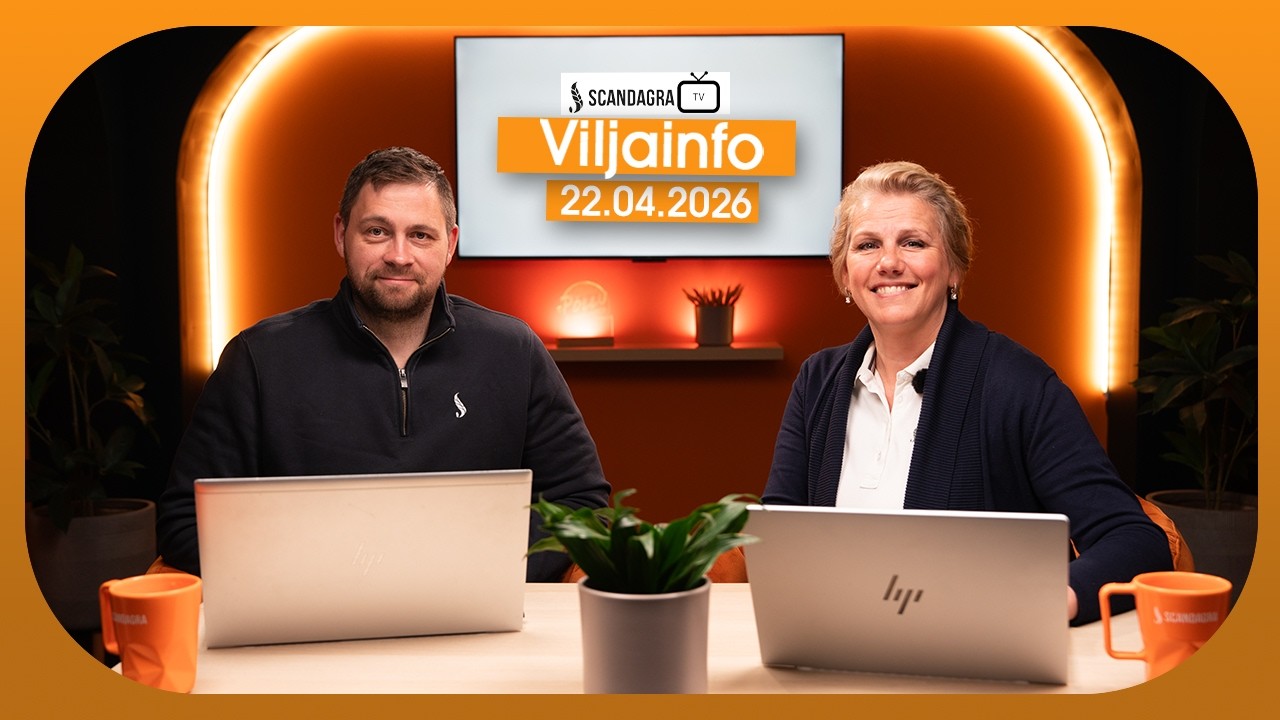 Scandagra VILJAINFO 22.04.2026