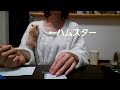 懐くとこうなる☆タッセル作りを邪魔するおもしろ可愛いハムスター Entertained cute funny hamster