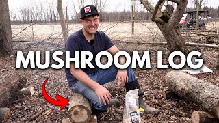 Turn Logs into Mushroom Growing MACHINES For YEARS With This Method
