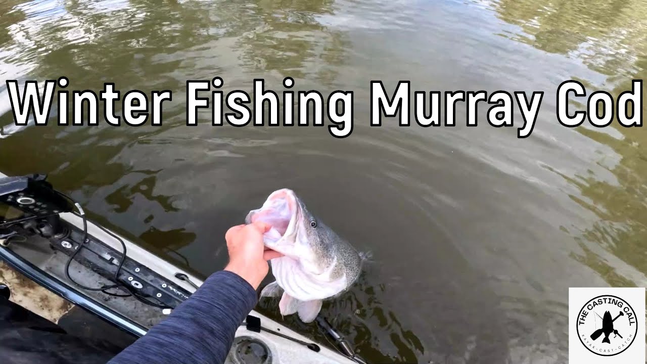 Winter Fishing Murray Cod l The Casting Call - YouTube