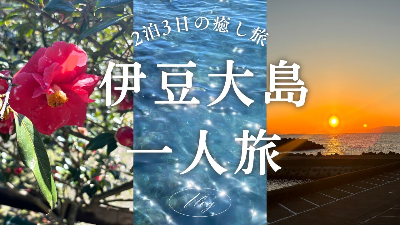 🌴伊豆大島観光🌴| 車無し女一人旅￼🐠| 美しい風景と美味しいご飯の癒し旅| サイクリング🚲椿まつり