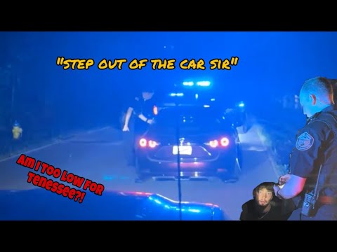 COPS PULL ME OVER FOR BEING TOO LOW!?(GAT PART 2) - YouTube