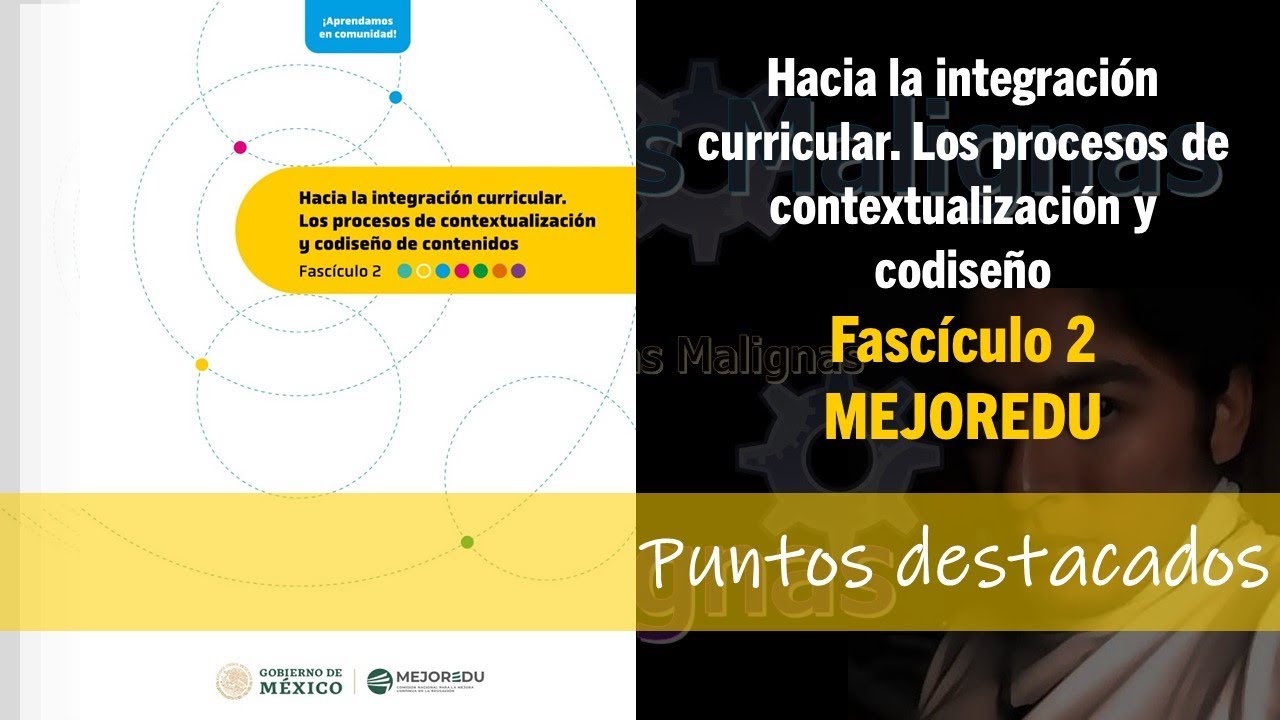 idM F2 Hacia la integración curricular. Los procesos de