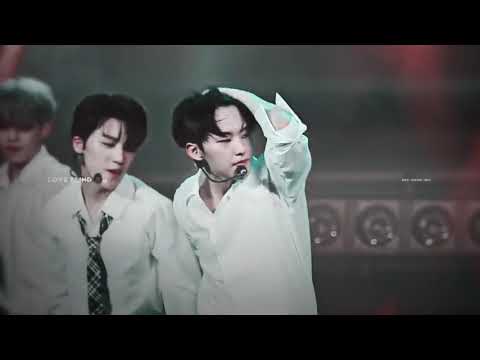 hoshi; into it