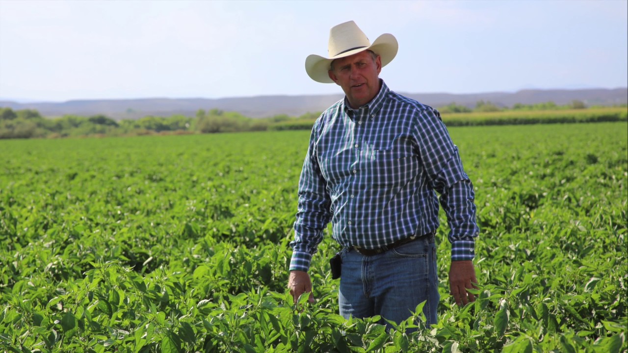 This Is Where Real Hatch Chiles Comes From (What You're Eating Is Fake