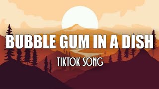 Bubble Gum In A Dish Girl Yo P*$$y Stank () [Tiktok Song] Resimi