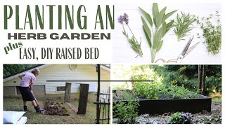 Growing Herbs ~ Making an Herb Garden ~ Summer Time Gardening ~ DIY Raised Bed