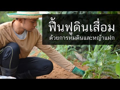 วีดีโอ: วิธีการพัฒนาดินแดนบริสุทธิ์