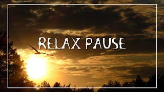 Релакс пауза. Лесное озеро. Солнце. Птицы. Закат #relaxing #relax #relaxpause #природа #лес #озеро