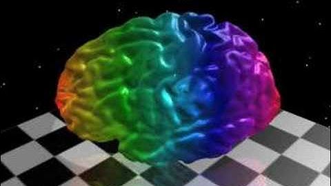 Shape Geodesic Between Two Left Hemispheres