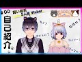 【自己紹介】はじめまして、ねこ(?)です!!!【新人Vtuber】
