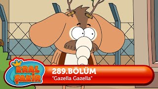 Kral Şakir 289. Bölüm - Gazella Gazella