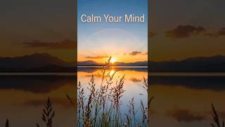 Peaceful Morning 🌄✨ | Nature Healing Moment #naturallife #relaxingvideo #cinematicnature