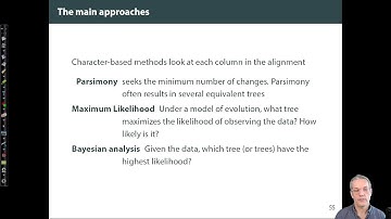 Character-based methods