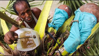 Natural Palm Juice !!! Hungry Boy Drink Toddy Palm Tree Juice|| Palmyra  Natural Alcohol | Taler Ros