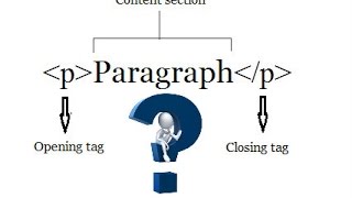 LEARN HTML BASICS - Paragraph tag