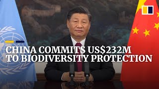 China pledges US$232m to world biodiversity conservation at COP15 conference in Kunming