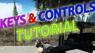 Basic Controls - LAR Beginners Guide 1 