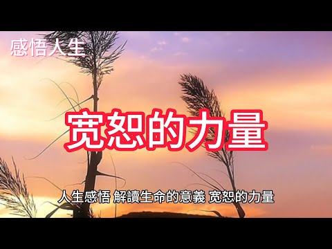 宽恕的力量