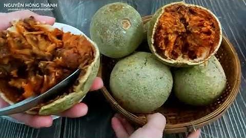 Cách ngâm Rượu Trái Quách l Công dụng tuyệt vời ít ai biết đến